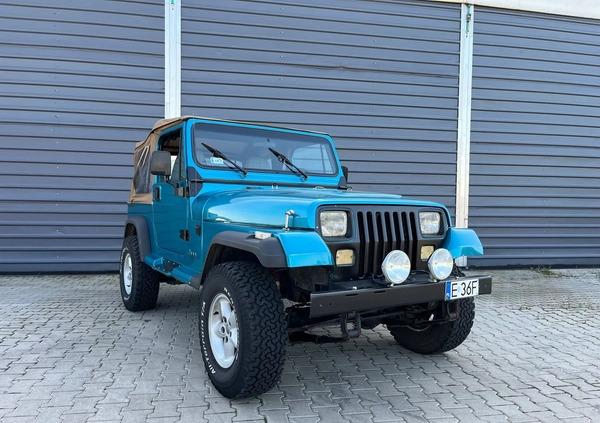 Jeep Wrangler cena 64700 przebieg: 152000, rok produkcji 1992 z Swarzędz małe 191